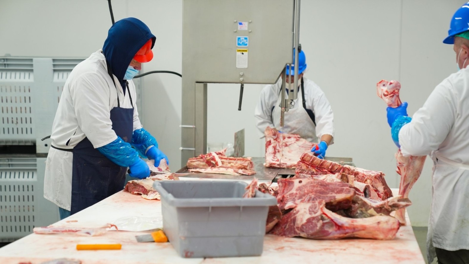 Жилувальник м'яса та субпродуктів