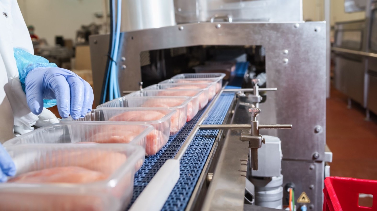 Оператор лінії у виробництві харчової продукції (виробництво м'ясних продуктів)