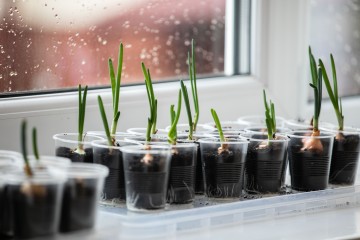 Міністр освіти і науки відвідує Луцький ліцей №27