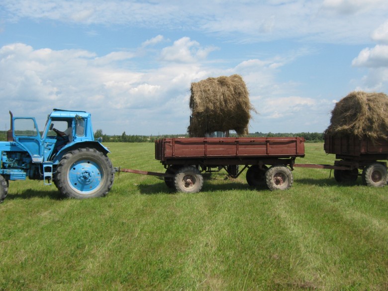 Овруцький професійний ліцей
