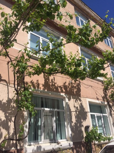 Державний навчальний заклад "Білгород-Дністровський професійний будівельний ліцей"