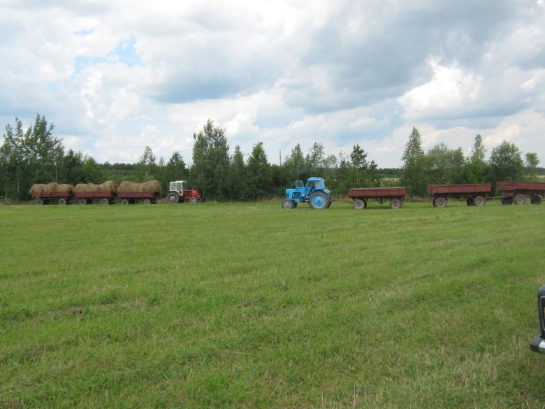Овруцький професійний ліцей