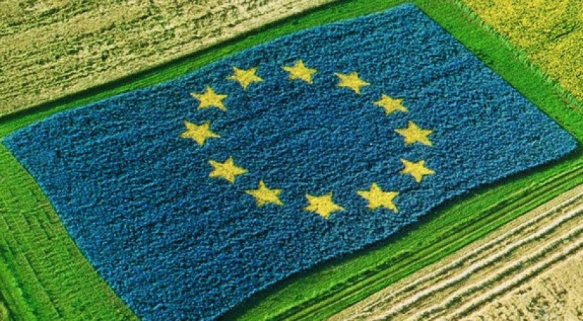 У ЖНАЕУ вивчатимуть євроінтеграцію у межах  EUROSCI Network