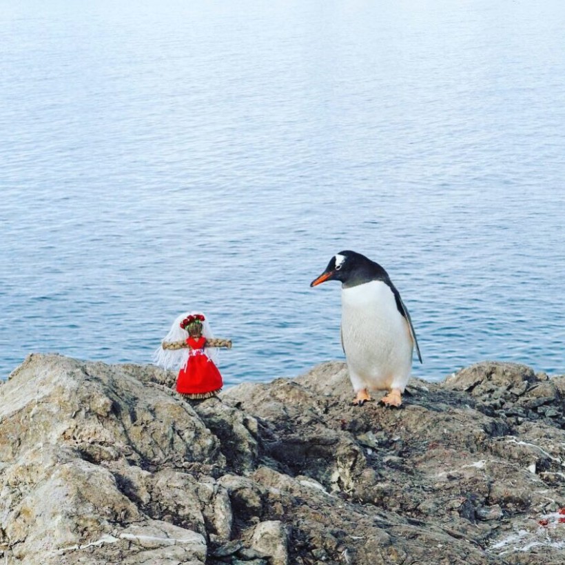 30 шкіл у 9 містах – учасники українських антарктичних експедицій зустрілися з усіма переможцями конкурсу «Запроси полярника до себе!»
