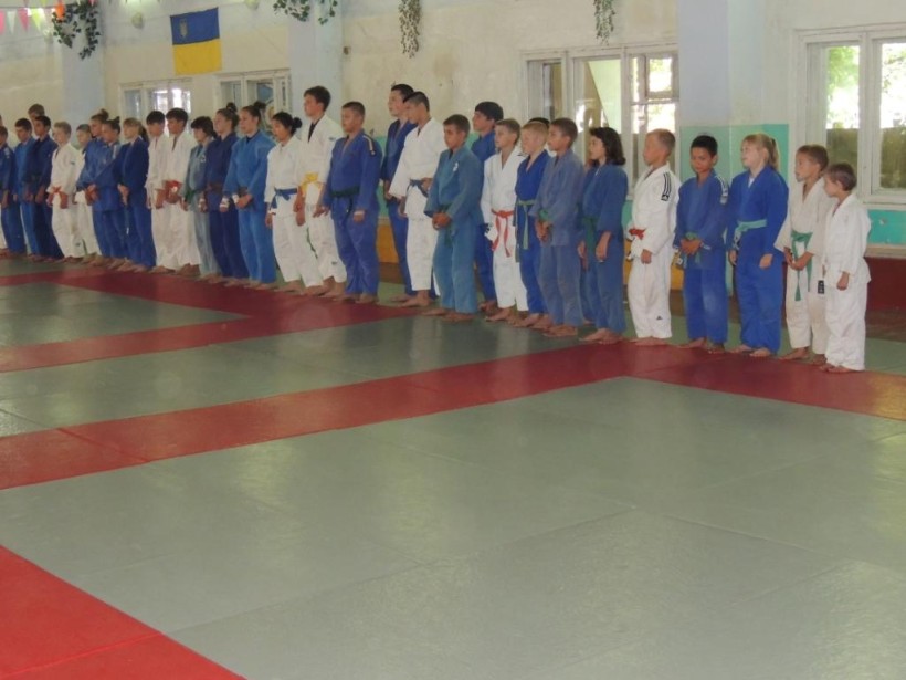 На Миколаївщині розпочалися оздоровчо-тренувальні збори юних дзюдоїстів