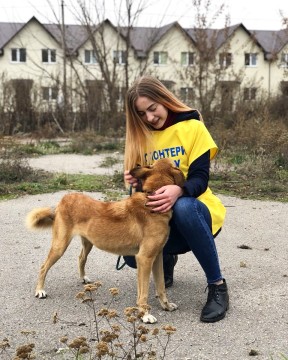 Студенти-волонтери СумДУ провели акцію на допомогу безпритульним тваринам