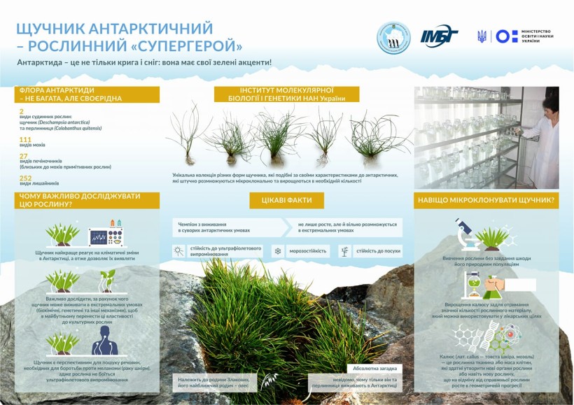 Унікальна розробка українських вчених відкриє світу можливості для лікування складних захворювань, захисту від ультрафіолету та вирощуванння культур у стресових умовах