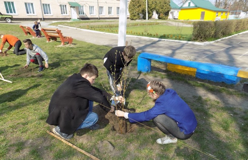 Школярі Рівненщини створили алею «Дерева миру»