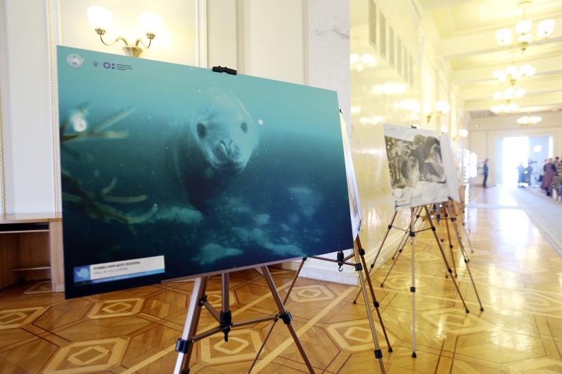 Перша антарктична виставка «переїхала» у Верховну Раду — її відкрили в 24-ту річницю передачі Україні станції «Академік Вернадський»