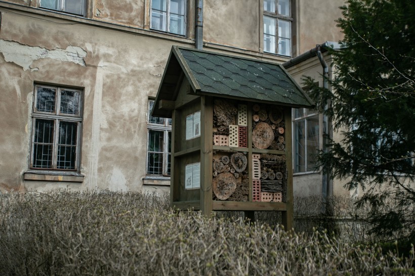 МОН планує окрему програму підтримки заповідників, ботсадів, дендропарків і обсерваторій у вишах – для цього через бюджетну декларацію пропонують передбачити 56,5 млн грн на 2020-22 рр.