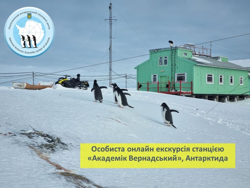 Почався другий антарктичний аукціон – долучитися можна до 23 грудня