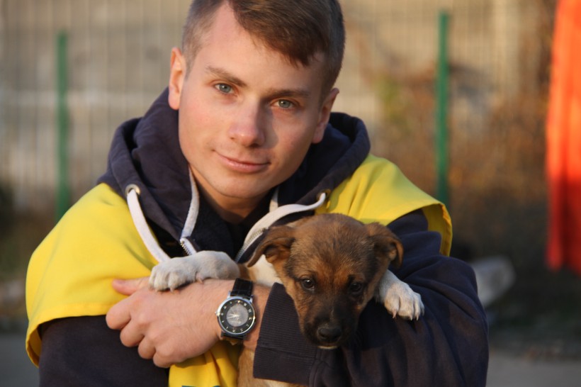 Студенти-волонтери СумДУ провели акцію на допомогу безпритульним тваринам