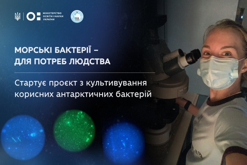 Морські бактерії – для потреб людства: НАНЦ приєднався до проєкту з культивування корисних антарктичних бактерій